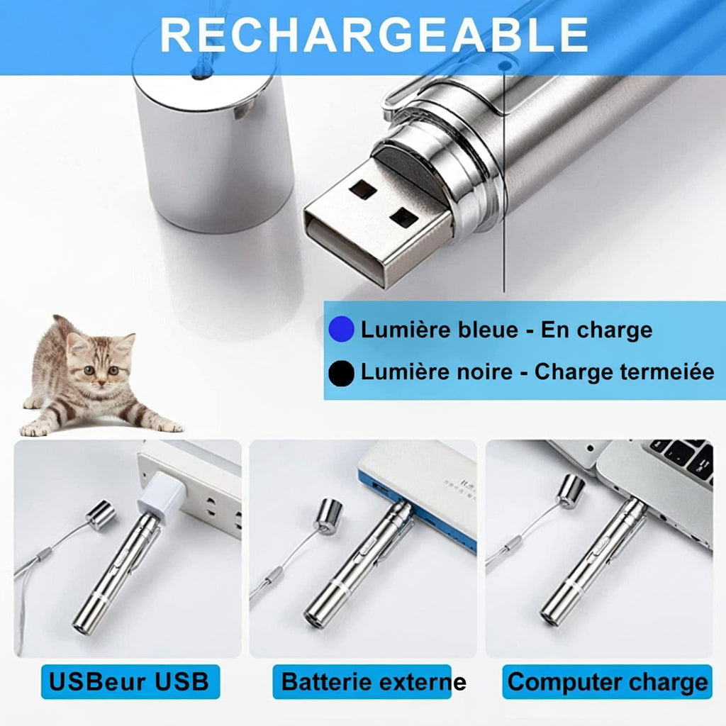 Lampe de Poche Ludique pour Chat : Projection Amusante pour des Jeux Infini AstralLuminance